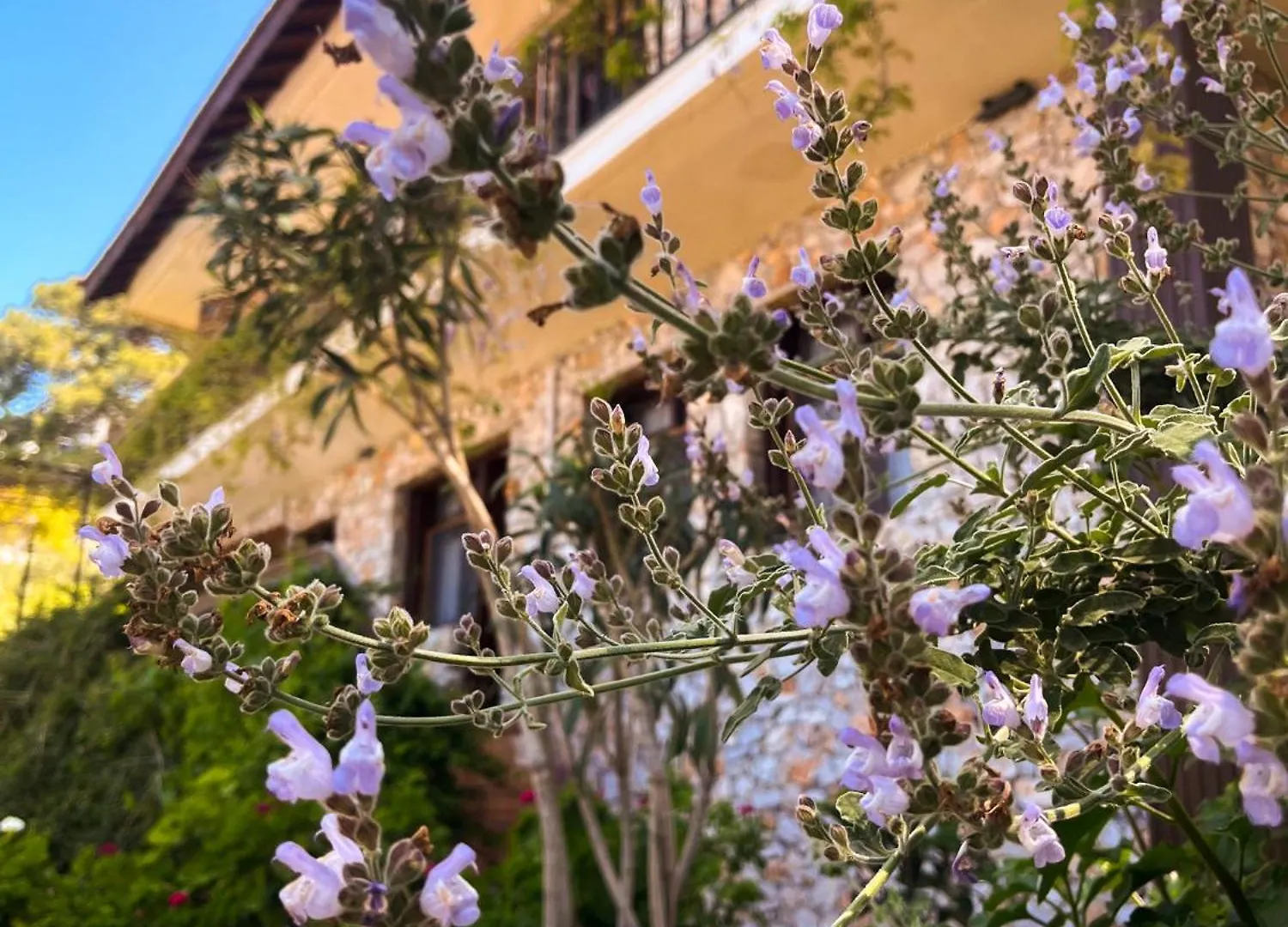 Faralia Hotel Faralya