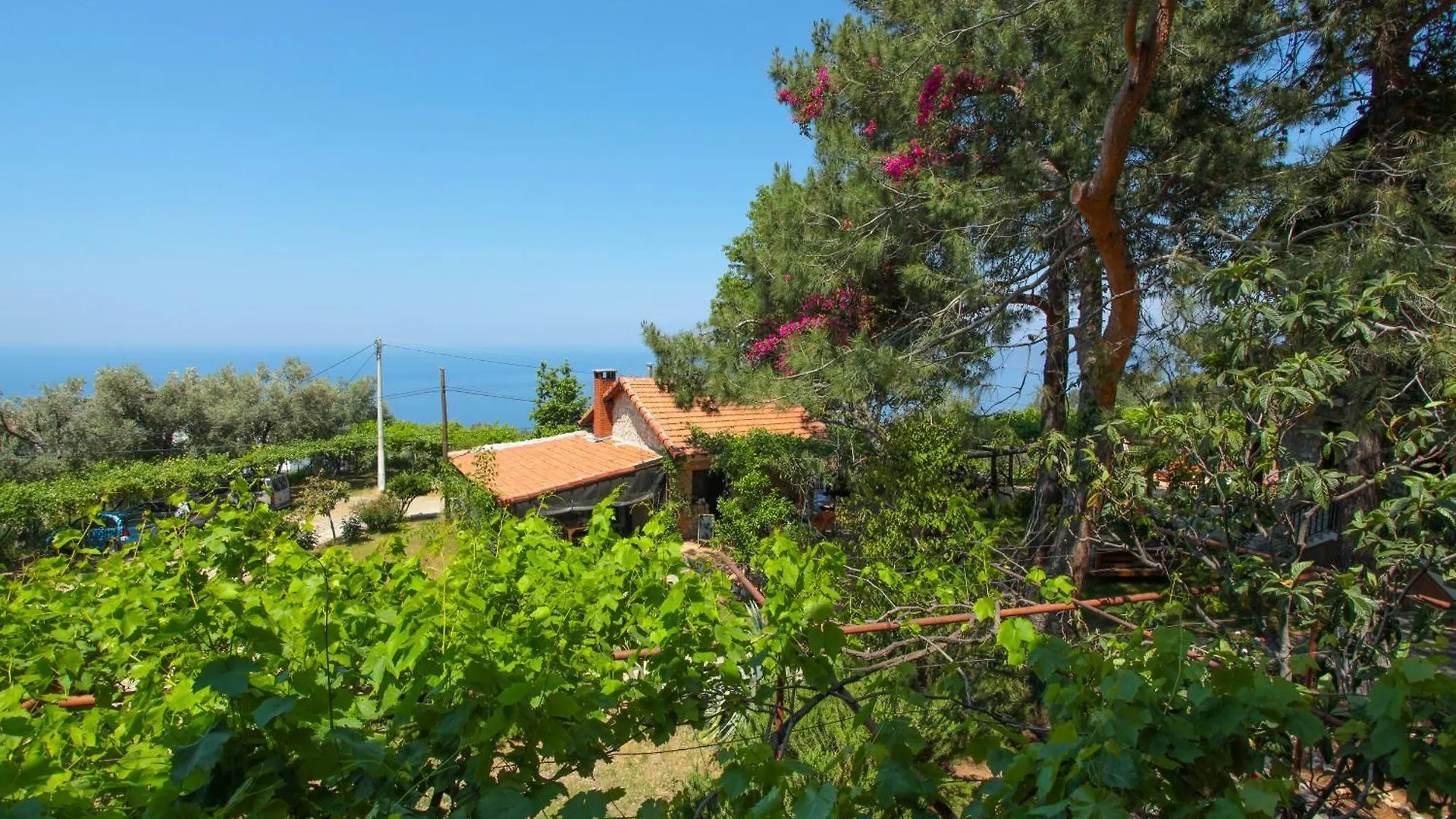 Faralia Hotel Faralya
